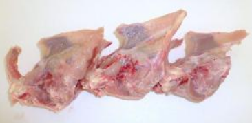 Chicken carcasses 1 KG (approx)
